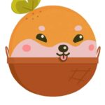 Orange Doge Coin