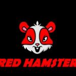 RED HAMSTER