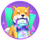Doge Spacemoon