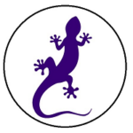 Gecko Finance