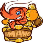 AMANO Financial