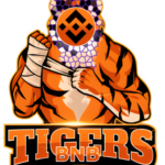 BNBTiger