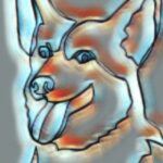 FURRY DOGE